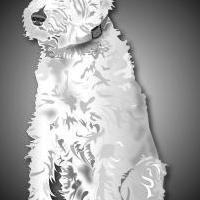 Repro de Cannelle en noir et blanc