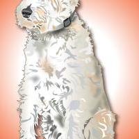 Reproduction de Cannelle en orange