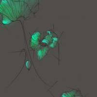 Tatouage coquelicot bleu