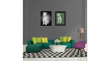 Dans le salon multico cosy